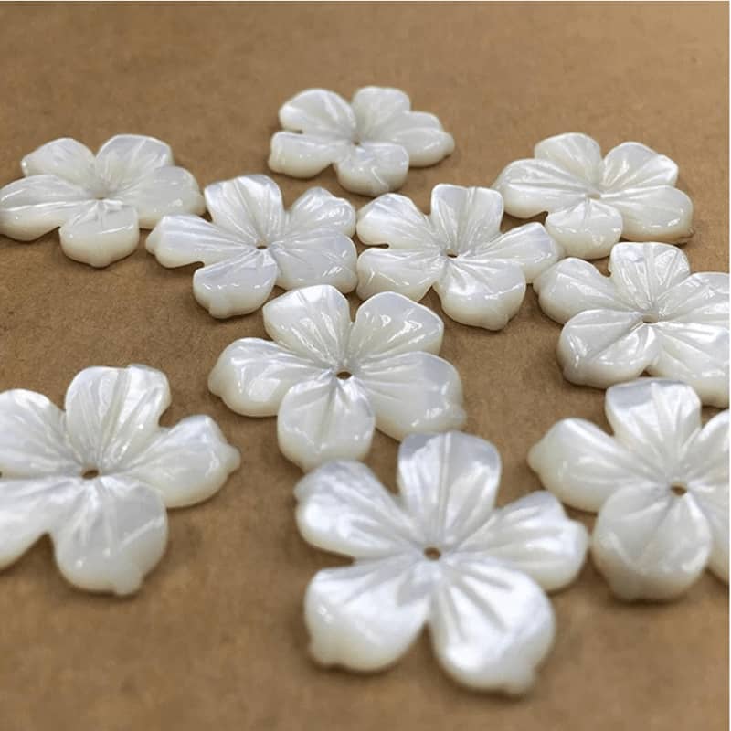 Bouton de coquille de papillon blanc Bouton de coquille de papillon blanc